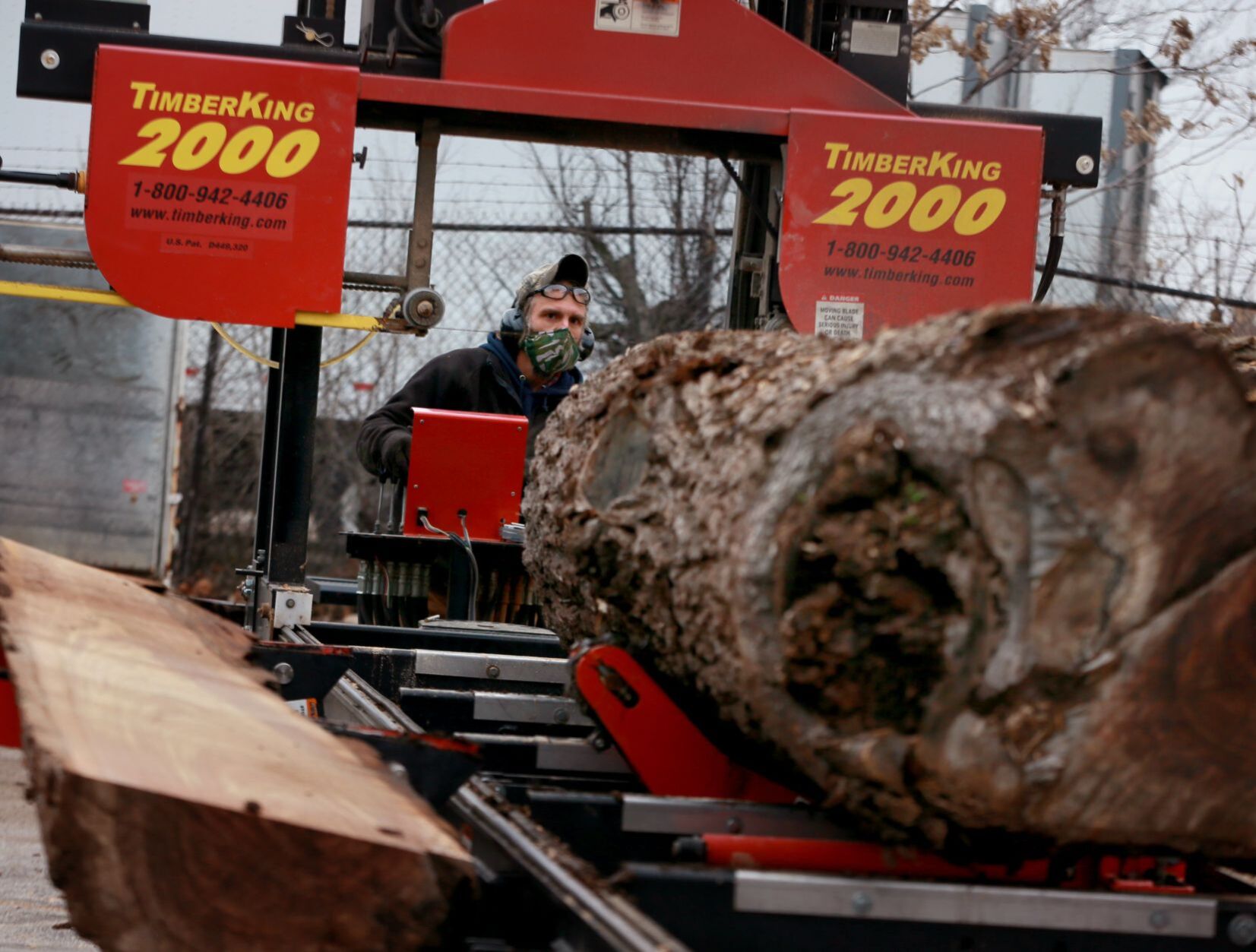 LLC makes smart use of urban trees